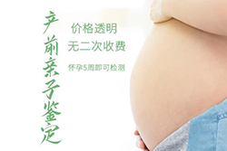 在[宜春]怀孕几个月需要如何做DNA亲子鉴定，宜春产前亲子鉴定需要多少费用